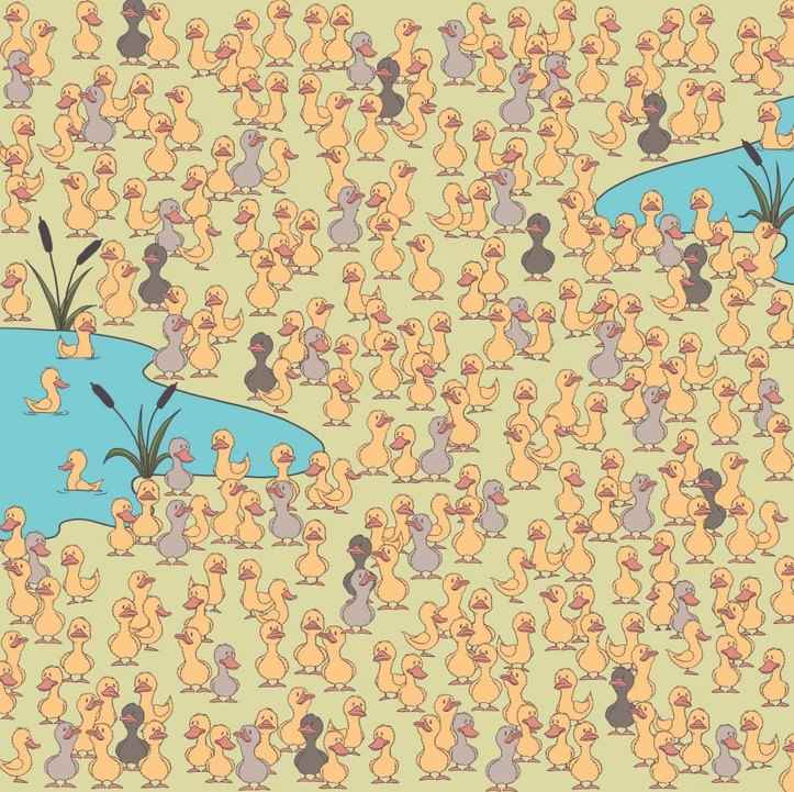 El misterio y lo principal