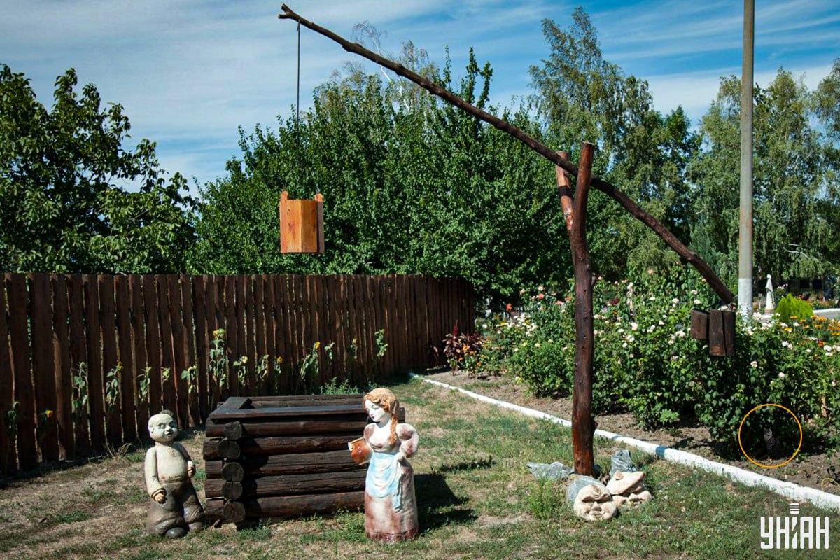 El gato estaba en el parterre / collage Moje