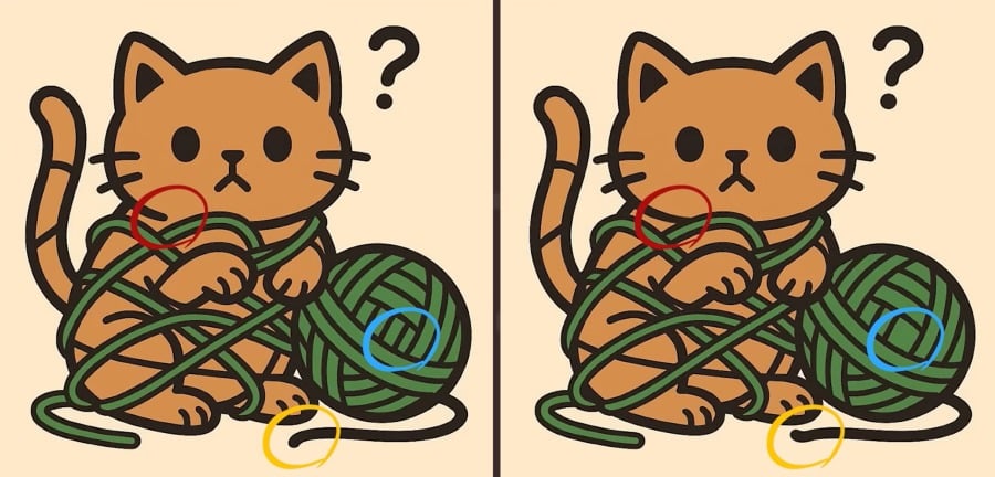 Test de inteligencia: encuentre 3 diferencias en una foto de un gato en un ovillo en 23 segundos