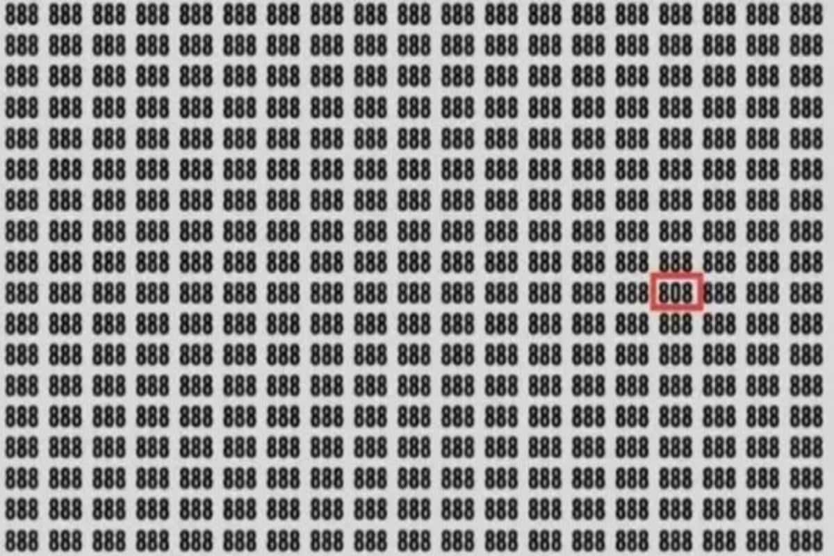 La respuesta al acertijo / foto de Jagran Josh