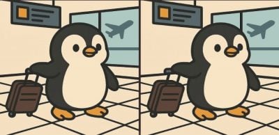 Test de inteligencia: encuentre 3 diferencias en la foto de un pingüino en un aeropuerto en 61 segundos