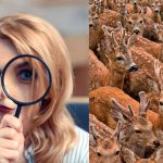 Necesidad de encontrar tres cabras entre los ciervos en 11