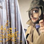 Sólo el 2% de las personas puede encontrar una ardilla