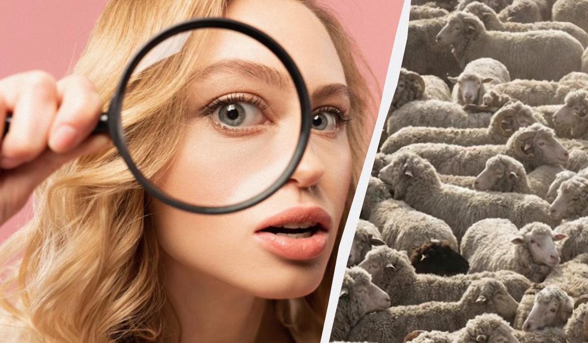 Sólo uno de cada tres de cada 100 puede encontrar todos los perros de una imagen en 12 segundos: un desafiante juego de ingenio