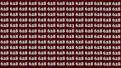 Un rompecabezas para los más listos: encuentra el número 623 en sólo 32 segundos